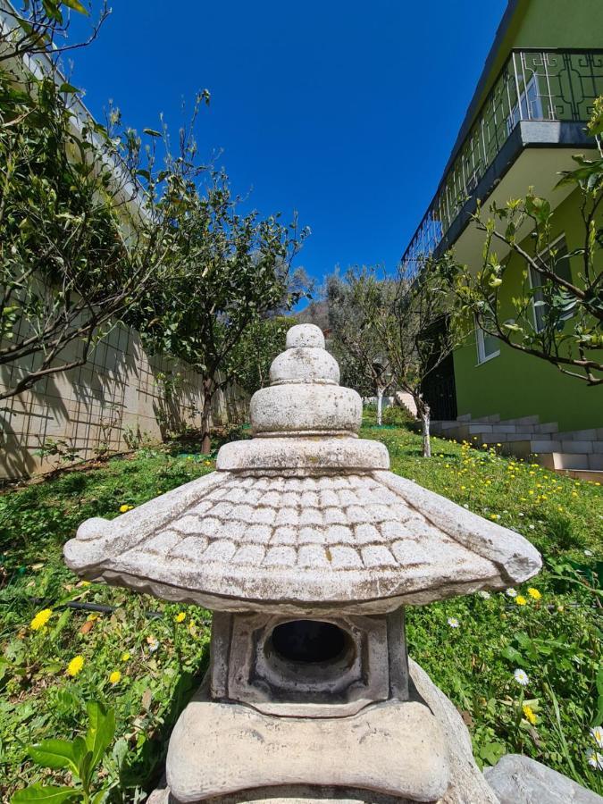 Olive Garden Apartment Petrovac Exteriör bild