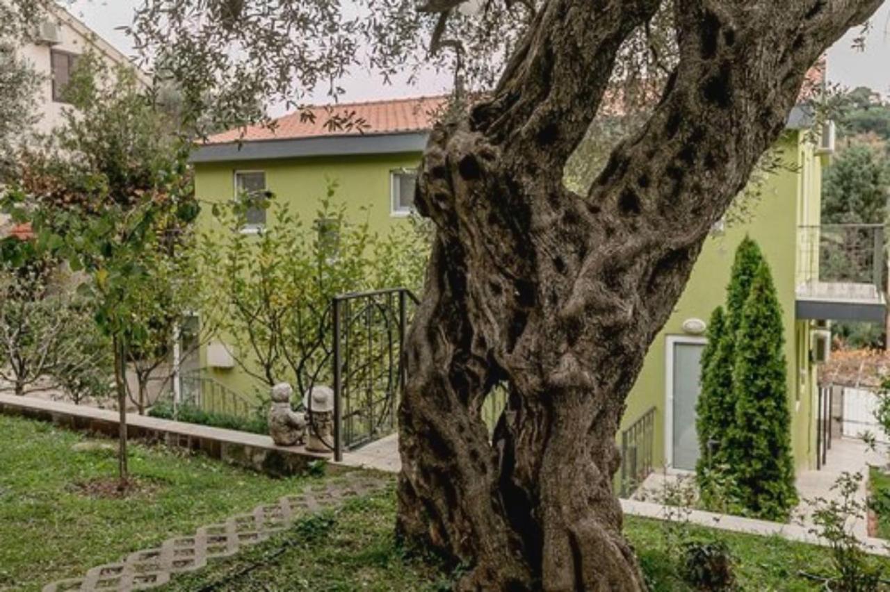 Olive Garden Apartment Petrovac Exteriör bild